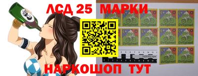 индика Малгобек