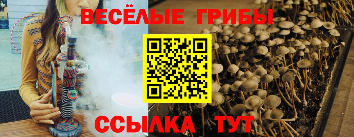 Галлюциногенные грибы мицелий  Вход с VPN  Псилоцибиновые грибы мухоморы  Заволжье 