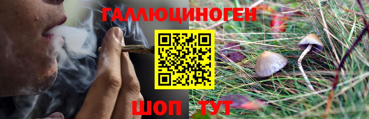 Галлюциногенные грибы Magic Shrooms Заволжье
